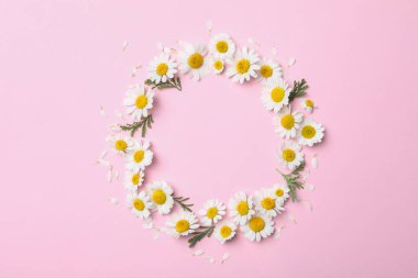 Pembe arka planda taze papatyalarla yapılmış bir çerçeve. Metin için boşluk