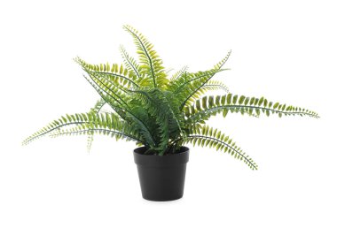 Çiçek saksısındaki güzel yapay bitki beyaza izole edilmiş.