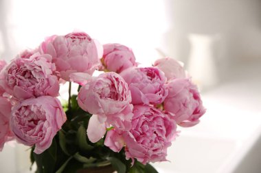 Kapalı alanda güzel pembe şakayıklar, yakın plan.