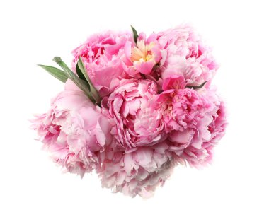 Beyaz arka planda bir buket güzel şakayık