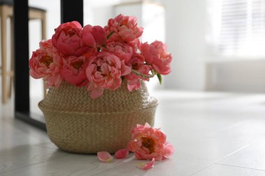 Kapalı alanda güzel kokulu şakayıklar.