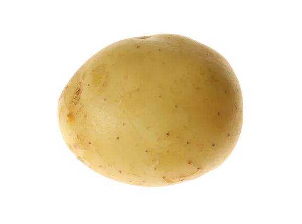 Batata Orgânica Crua Fresca Isolada Branco — Fotografia de Stock