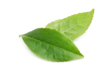 Yeşil çay yaprakları beyaz üzerine izole edilmiş.