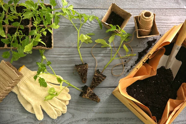 Composición Laica Plana Con Plántulas Tomate Accesorios Jardinería Sobre Mesa —  Fotos de Stock