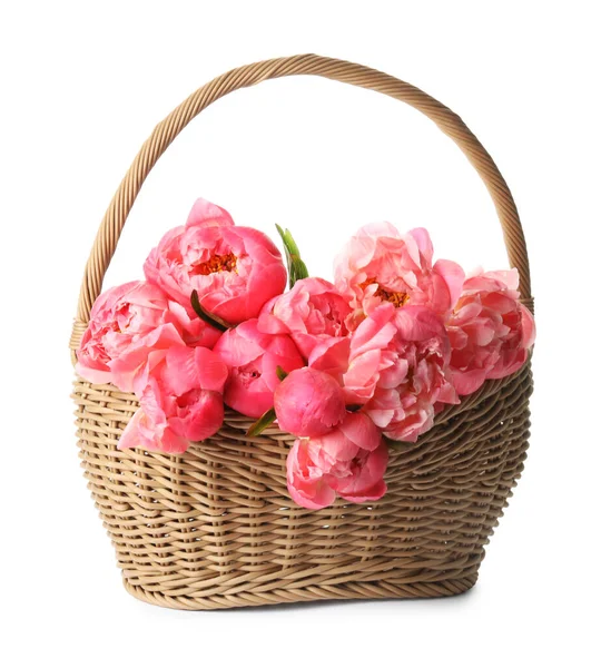 Плетеная Корзина Красивыми Розовыми Пионами Белом Фоне — стоковое фото