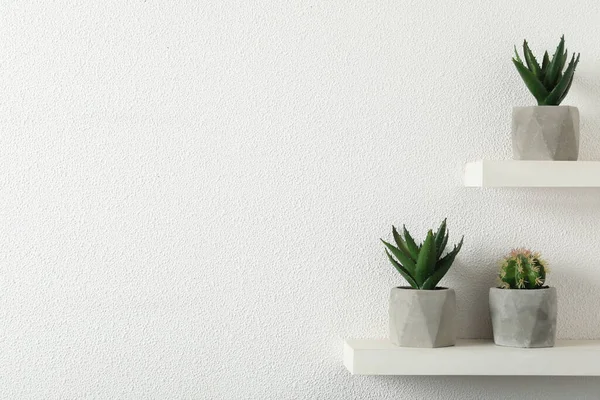 Hermosas Plantas Artificiales Macetas Estantes Espacio Para Texto — Foto de Stock