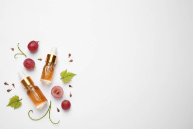 Beyaz arka planda doğal üzüm tohumu içeren yassı bileşim, metin için boşluk. Organik Kozmetik