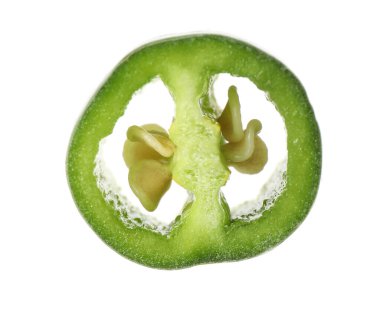 Bir parça yeşil acı biber beyaza izole edilmiş.