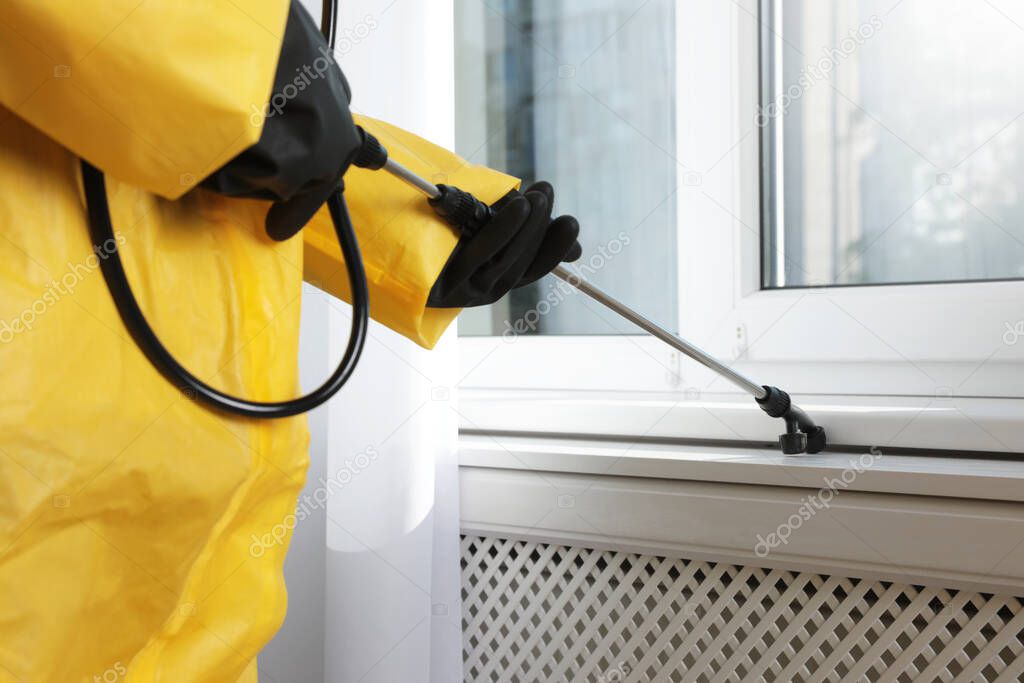Pest control worker spraying pesticide on window sill indoors, closeup