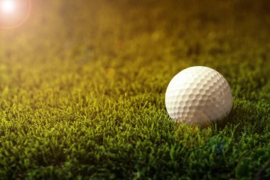 Güneşli bir günde parkta golf topu. Tasarım için boşluk
