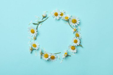 Çerçeve, açık mavi arka planda papatya ile yapılmış, düz. Metin için boşluk