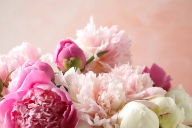 Pembe arka planda güzel bir şakayık buketi, yakın plan.