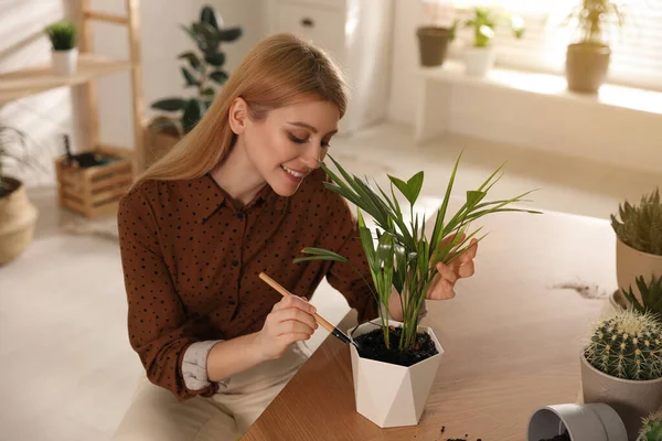 年轻女子在家里种植美丽的植物 从事业余爱好 — 图库照片