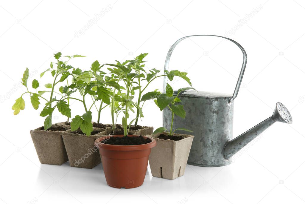 Different seedlings and watering can isolated on white