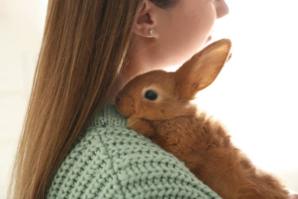 Junge Frau Mit Entzückendem Kaninchen Drinnen Nahaufnahme Schönes Haustier — Stockfoto