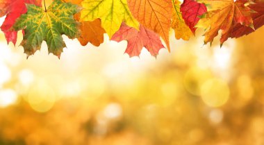 Güneşli bir günde güzel bir sonbahar havası var. Bokeh efektli metinler için yer var. Pankart tasarımı