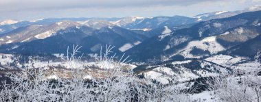 Kış sabahı, güzel bir bitki manzarası serinletici ve karlı dağlarla kaplı. Pankart tasarımı