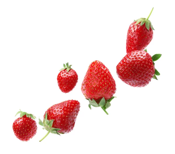 Beyaz arka plana düşen olgun çileklerle kurulmuş. 