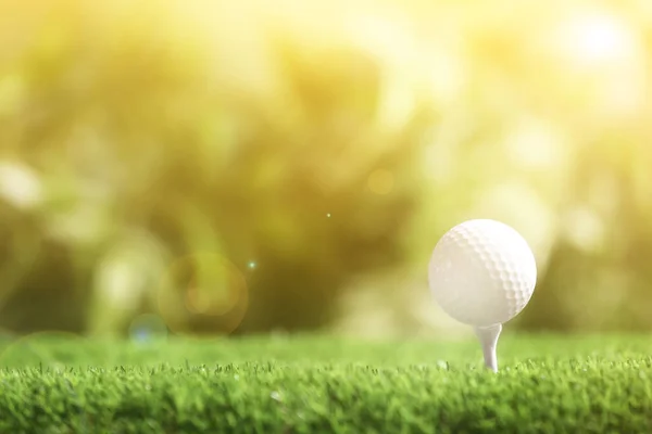 Golfboll Med Tee Parken Solig Dag Utformningsutrymme — Stockfoto