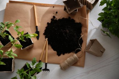 Domates fidanları, bahçe aletleri ve beyaz ahşap masa üzerindeki toprağın olduğu düz bir kompozisyon.