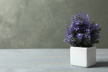 Yapay bitki, gri ahşap masadaki beyaz saksıda. Metin için boşluk