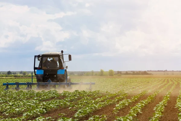 Moderní Traktor Pěstující Pole Zrajících Slunečnic Zemědělský Průmysl — Stock fotografie