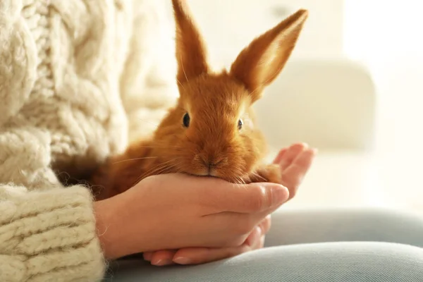 Mulher Jovem Com Coelho Adorável Dentro Casa Close Bonito Animal — Fotografia de Stock