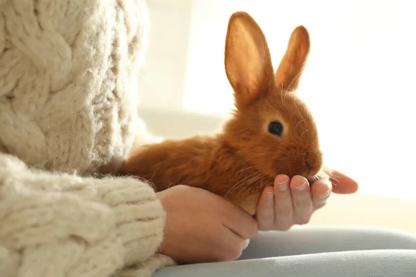 Mujer Joven Con Conejo Adorable Interior Primer Plano Hermosa Mascota — Foto de Stock