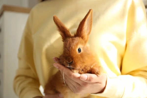 Mujer Joven Con Conejo Adorable Interior Primer Plano Hermosa Mascota — Foto de Stock