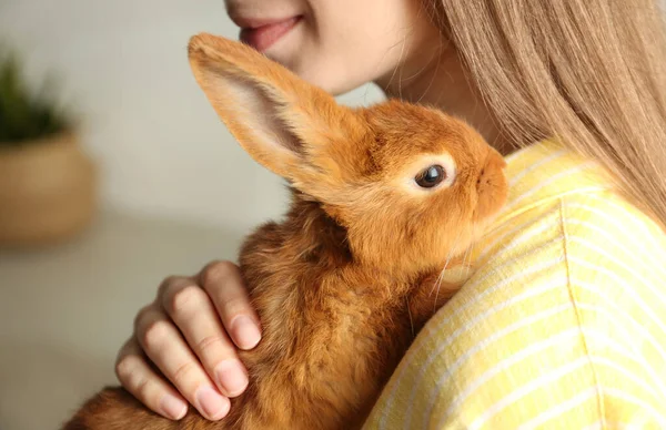 Mulher Jovem Com Coelho Adorável Dentro Casa Close Bonito Animal — Fotografia de Stock