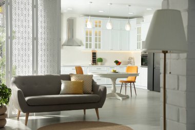 Modern mutfağı olan şık bir daire. Tasarım için fikir