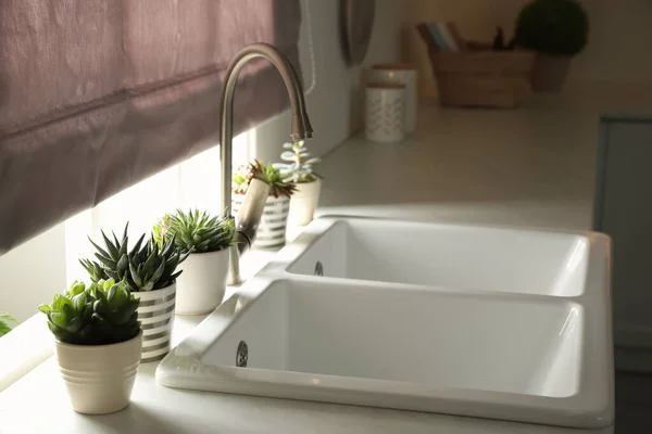 Houseplants Sink Kitchen Interior Design — Stock Photo, Image