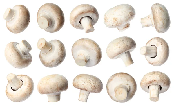 Set Med Färska Champignon Svamp Vit Bakgrund — Stockfoto