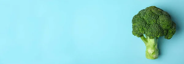 Top Kilátás Friss Zöld Brokkoli Kék Háttér Hely Szövegnek Bannertervezés — Stock Fotó
