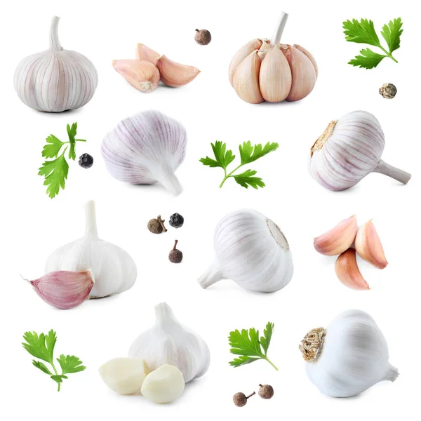 Set Fresh Garlic Different Seasonings White Background — Stock Photo, Image