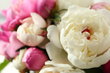 Güzel kokulu şakayık çiçeklerinin yakın görüntüsü