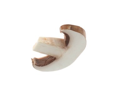 Şampiyon mantarı dilimi beyaza izole edilmiş.