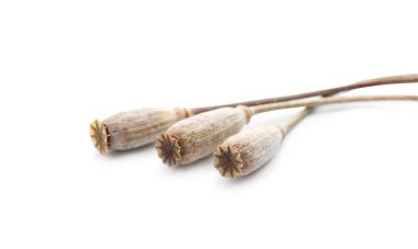 Beyaz arka planda tohumları olan kurutulmuş haşhaş kabukları