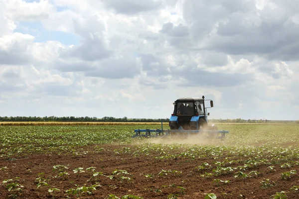 Ladang Modern Penanaman Traktor Pematangan Bunga Matahari Industri Pertanian — Stok Foto