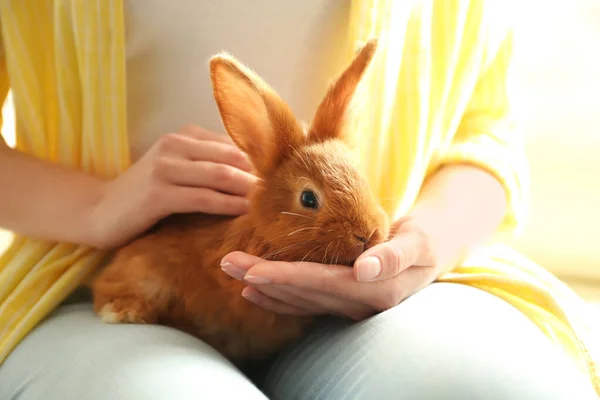 Mujer Joven Con Conejo Adorable Interior Primer Plano Hermosa Mascota — Foto de Stock