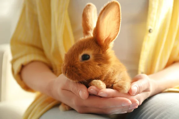 Mujer Joven Con Conejo Adorable Interior Primer Plano Hermosa Mascota — Foto de Stock