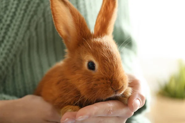 Mujer Joven Con Conejo Adorable Interior Primer Plano Hermosa Mascota — Foto de Stock