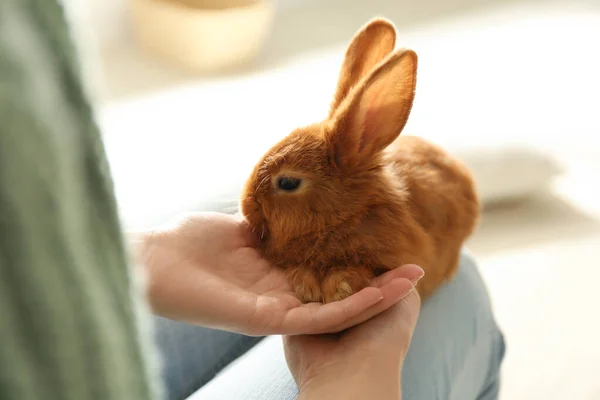 Mujer Joven Con Conejo Adorable Interior Primer Plano Hermosa Mascota — Foto de Stock