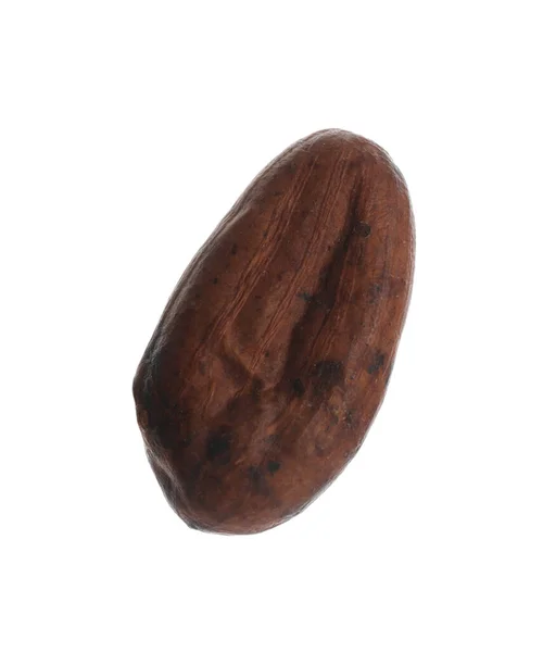 Fagiolo Cacao Crudo Marrone Isolato Bianco — Foto Stock