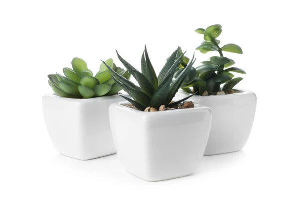 Belas Plantas Artificiais Vasos Flores Isolados Branco — Fotografia de Stock