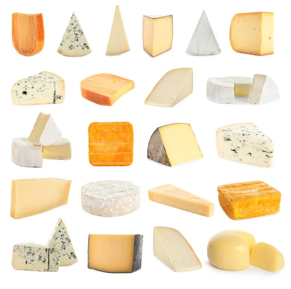 Set with different sorts of cheese on white background