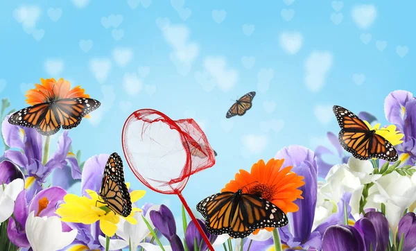 Яскрава Сітка Тендітні Монархи Метелики Квітковому Саду — стокове фото