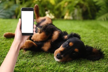 Genç bir kadın yeşil çimlerin üzerinde sevimli pofuduk bir köpeğin fotoğrafını çekiyor.