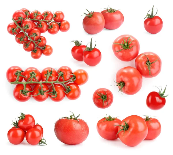 Conjunto Com Deliciosos Tomates Cereja Maduros Fundo Branco — Fotografia de Stock