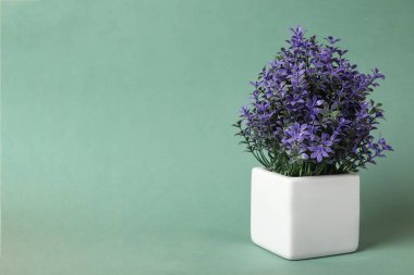 Renkli arkaplanda çiçek saksısında güzel yapay bitki, metin için boşluk